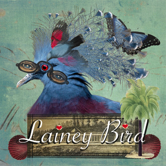 Lainey Bird